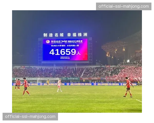 比赛因球迷向场内投掷网球中断，警方已介入